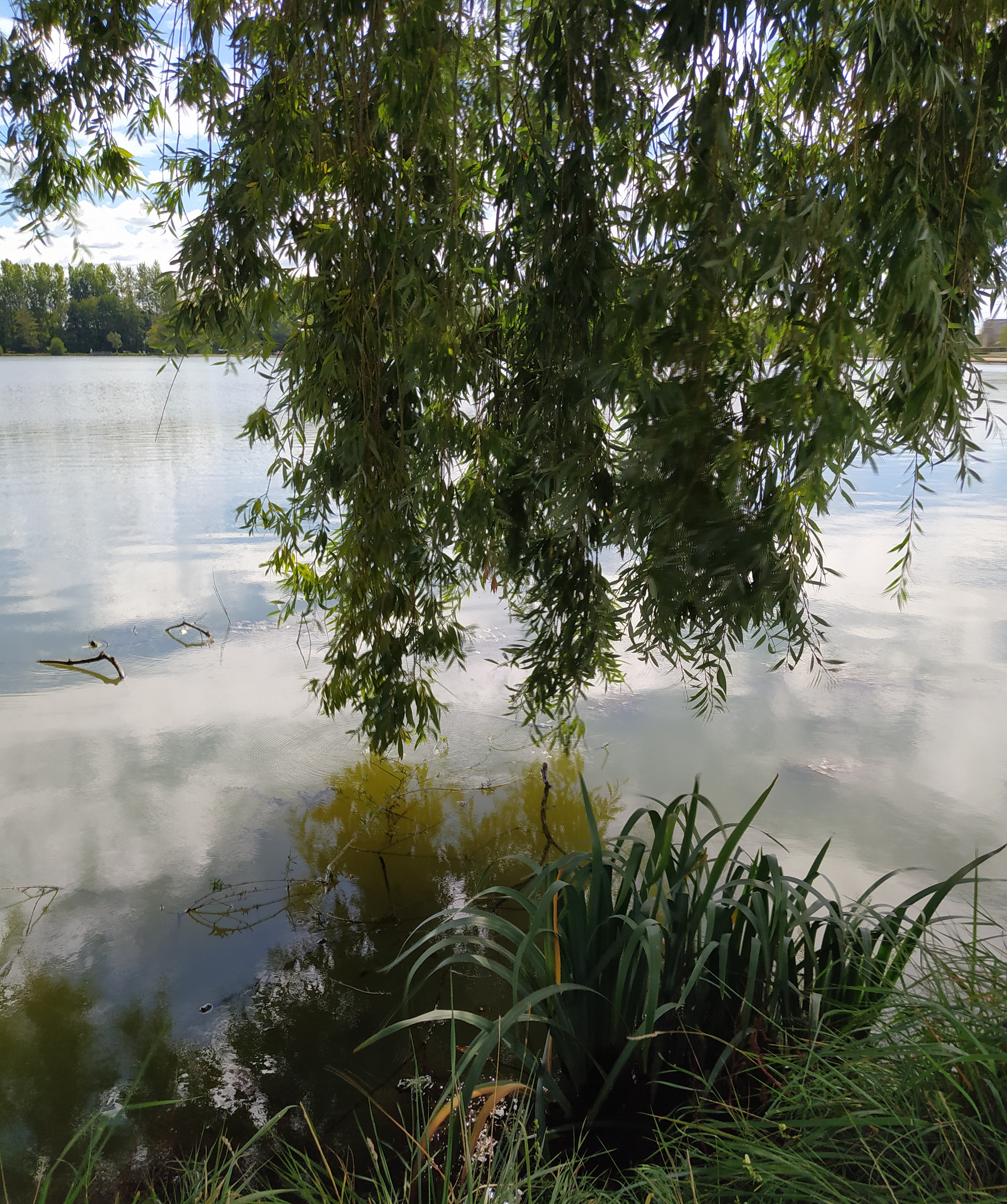 Photo n° 5 de l'avis de jackie.a fait le 10/09/2020 à 13:01