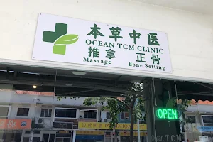 OCEAN TCM CLINIC 本草中医 image