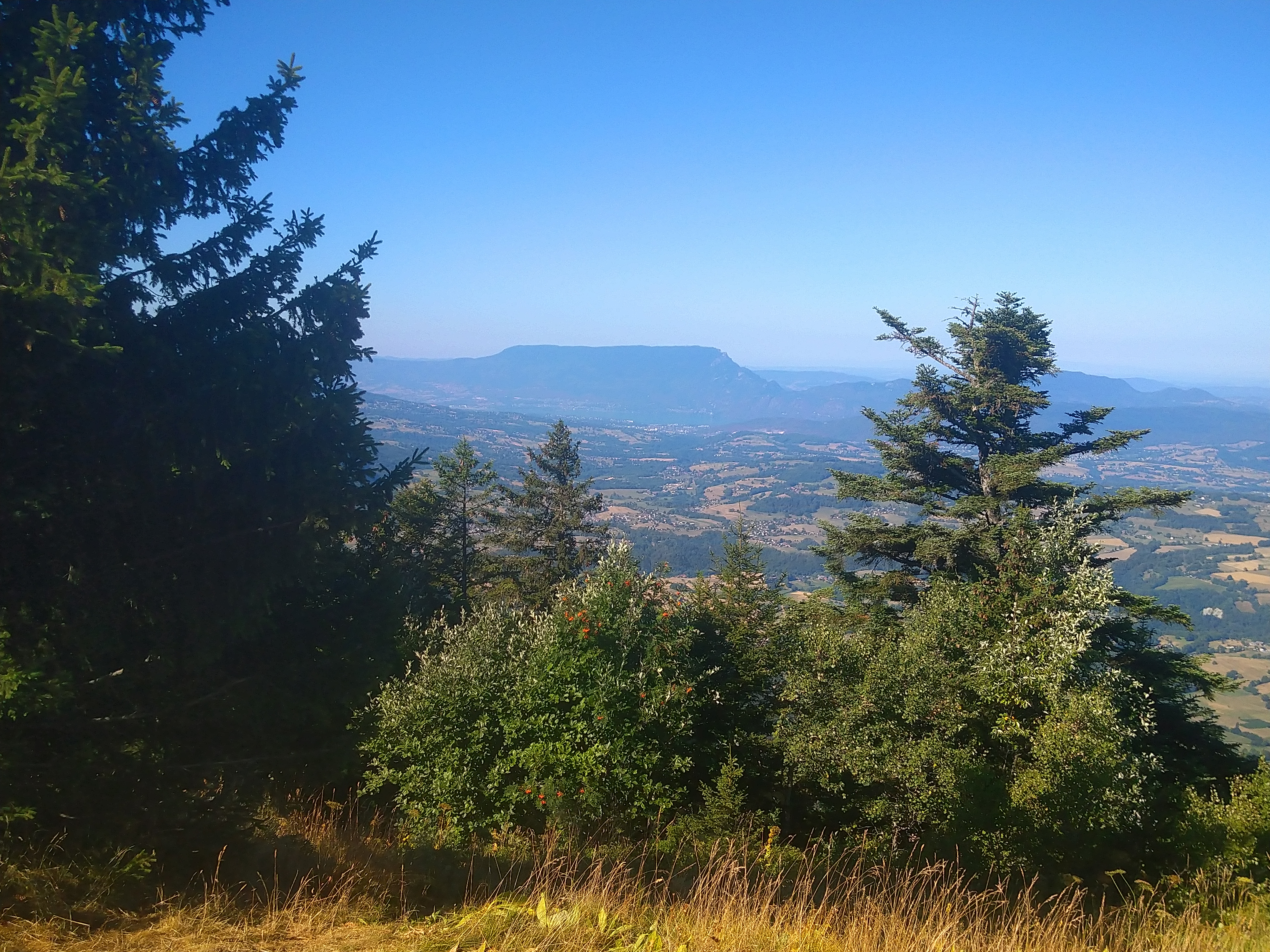 Photo n° 3 de l'avis de MOUSSELARD.� fait le 03/08/2022 à 16:27