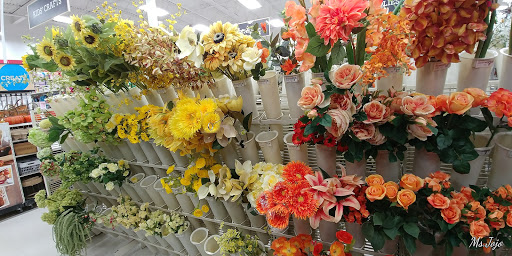 Craft Store «Michaels», reviews and photos, 3215 Vicksburg Ln N, Plymouth, MN 55447, USA