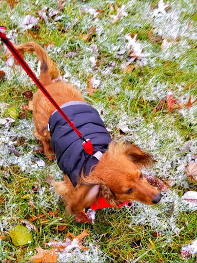 Pet Supply Store «Petco Animal Supplies», reviews and photos, 8644 E 96th St, Fishers, IN 46038, USA