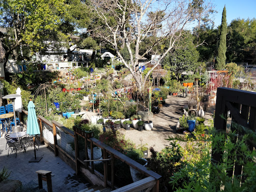 Shopping Mall «Carlmont Village Shopping Center», reviews and photos, 1049 Alameda de las Pulgas, Belmont, CA 94002, USA