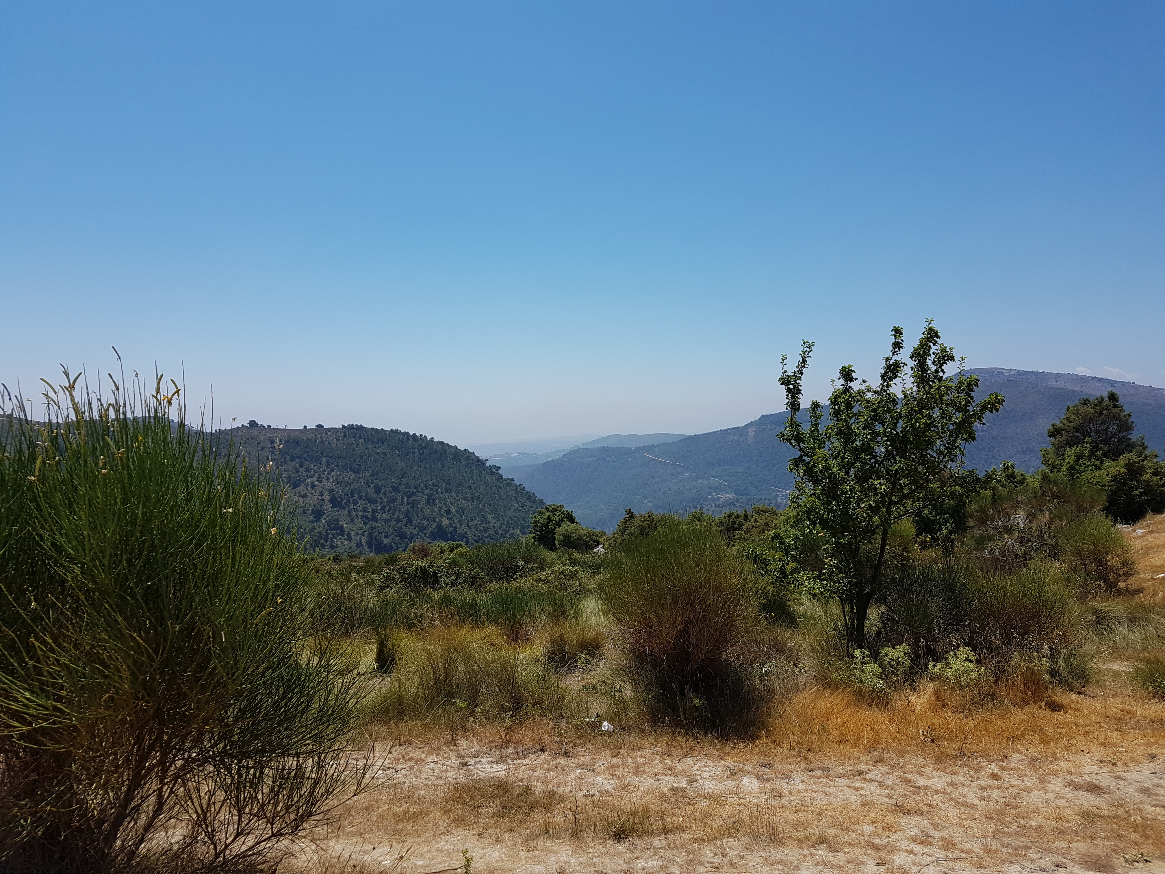 Photo n° 3 de l'avis de Nathalie.r fait le 13/07/2017 à 14:36