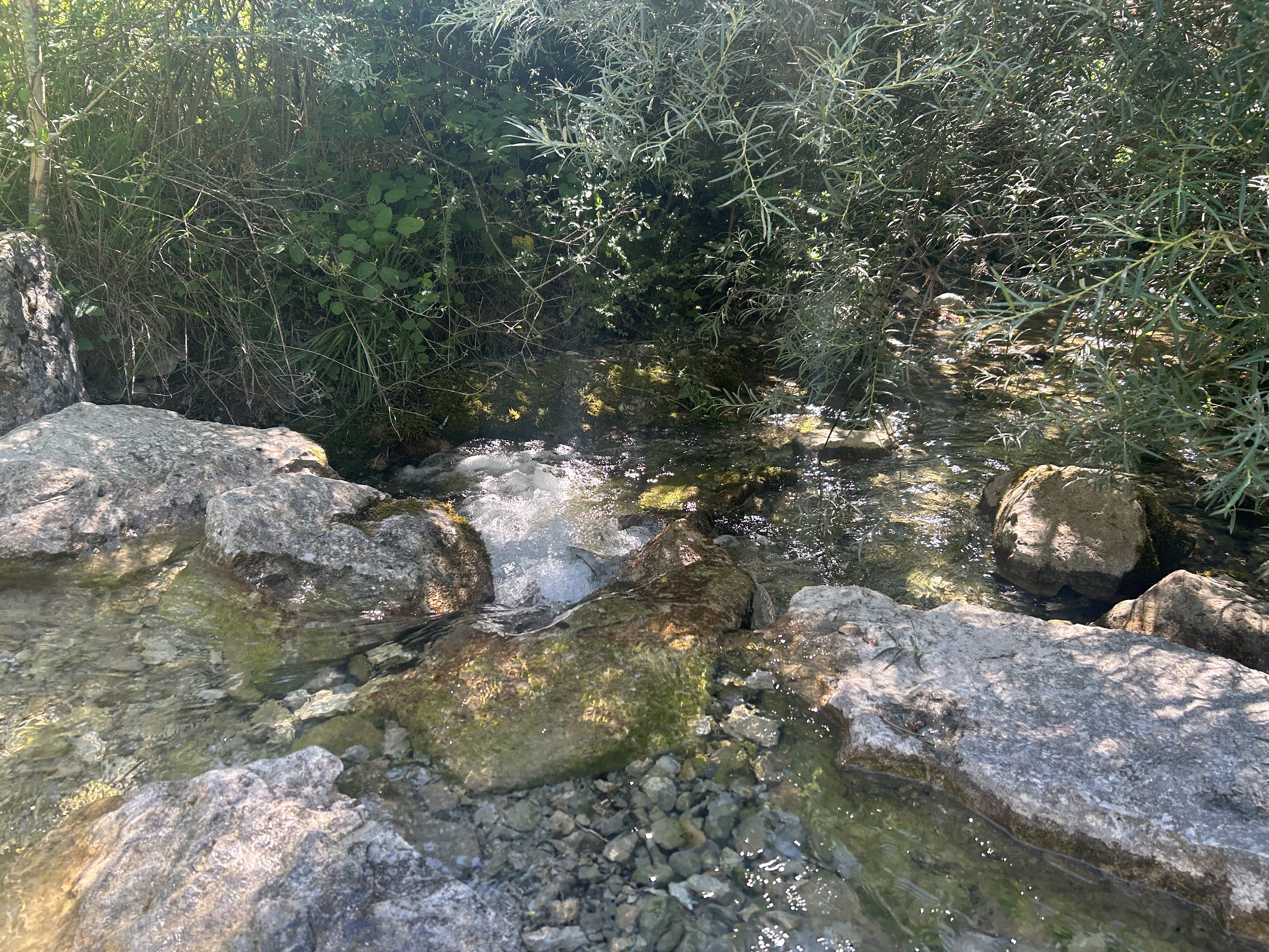 Photo n° 2 de l'avis de Ramon.a fait le 31/07/2023 à 21:42