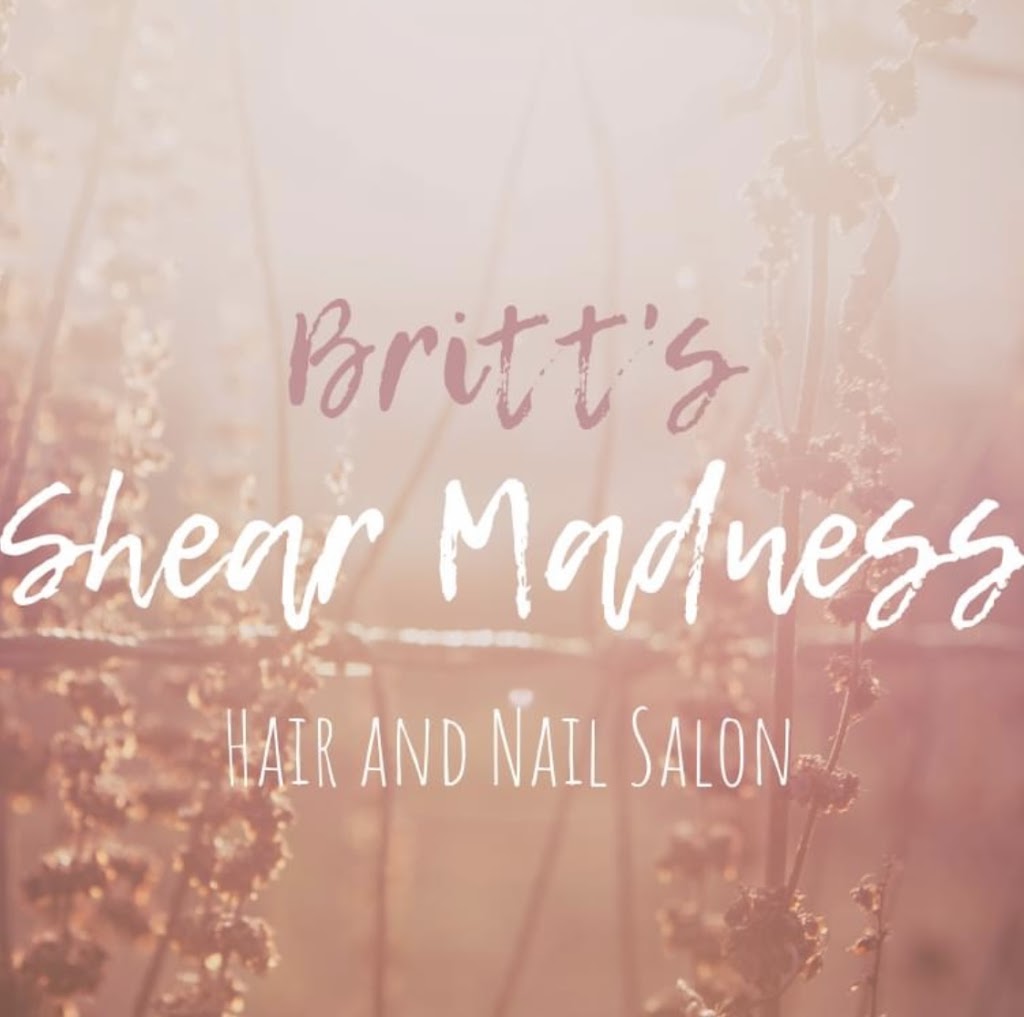 Britt’s Shear Madness Hair and Nail Salon 84537