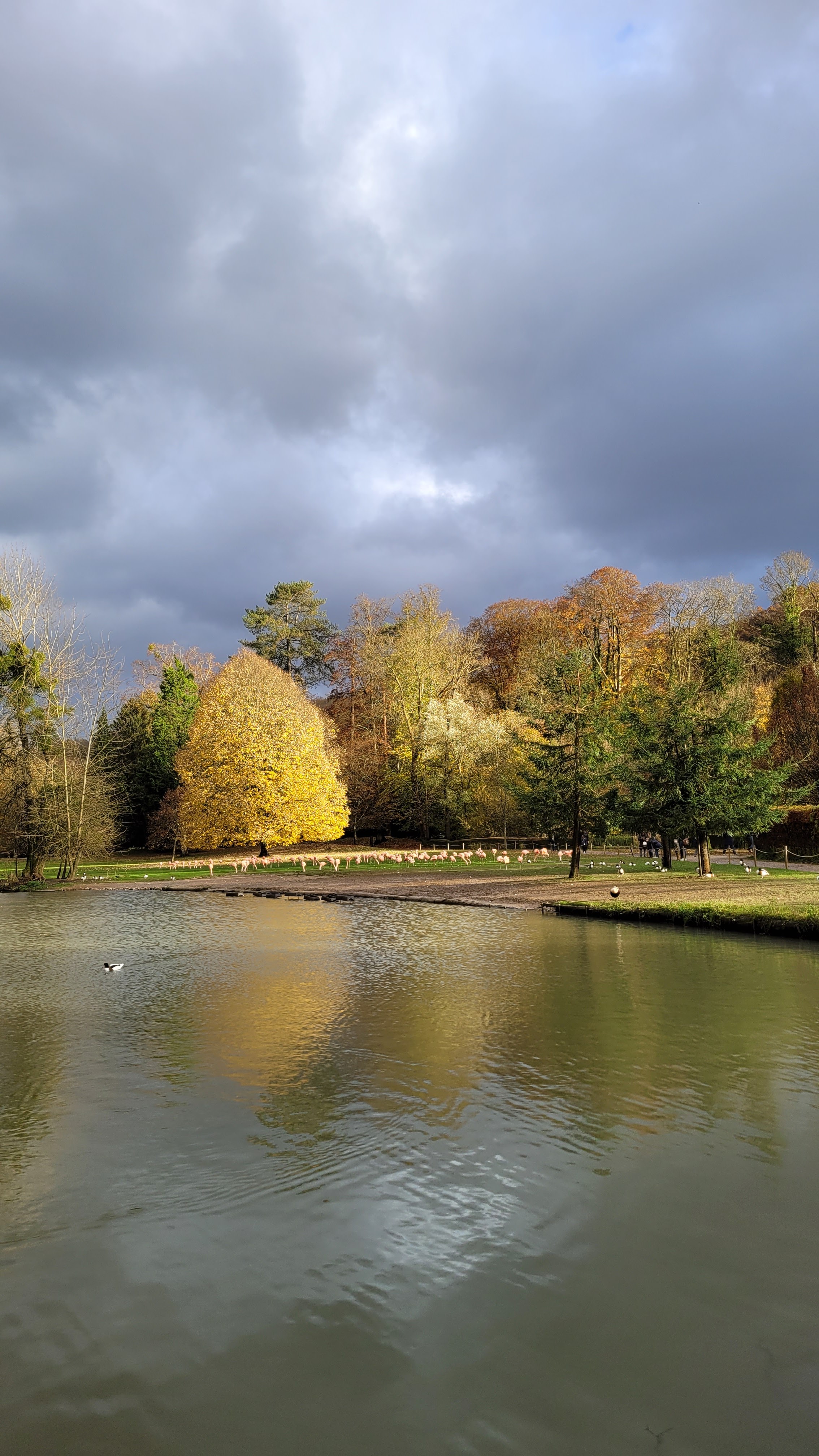 Photo n° 2 de l'avis de Sophie.a fait le 22/11/2023 à 15:36
