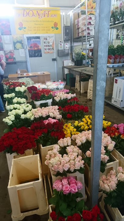 Privi KFT Virágpiac
