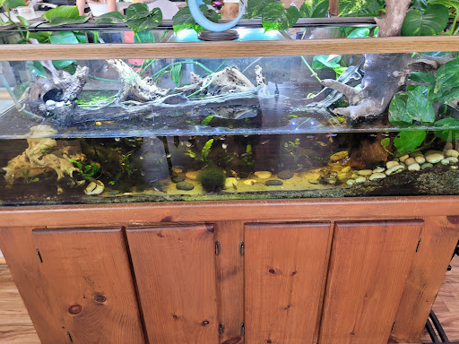 Metaphysical Supply Store «Stone Age: Crystals and Gems», reviews and photos, 2415 N Monroe St, Tallahassee, FL 32303, USA