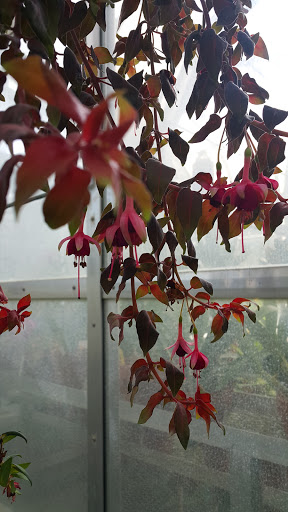 Heritage Museum «Hillwood Estate, Museum & Gardens», reviews and photos, 4155 Linnean Ave NW, Washington, DC 20008, USA