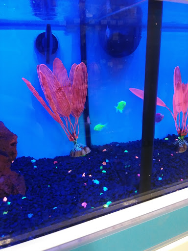 Pet Supply Store «Petco Animal Supplies», reviews and photos, 1011 University Blvd #100, Suffolk, VA 23435, USA