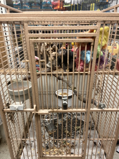 Tropical Fish Store «Midway Tropical Fish & Pets», reviews and photos, 24101 Pacific Hwy S, Kent, WA 98032, USA