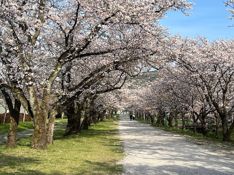 鏡野公園