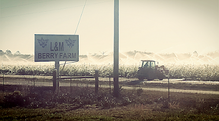L&M Berry Farm