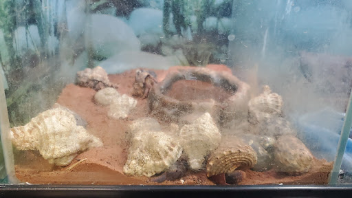 Pet Store «Cody PET DEPOT», reviews and photos, 556 Yellowstone Ave, Cody, WY 82414, USA