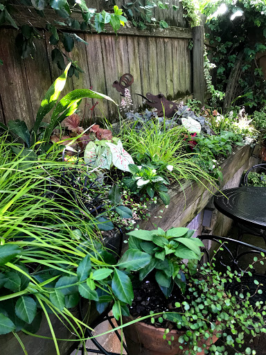 Winery «Dilworth Tasting Room», reviews and photos, 300 East Tremont street, Charlotte, NC 28203, USA