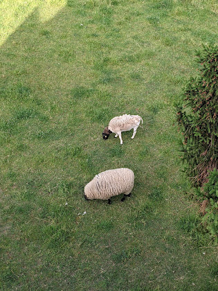 Photos des visiteurs Ferienwohnung BE ROUND Loft im Biosphärenreservat 36100 Petersberg