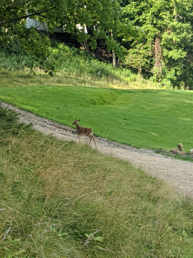 Golf Club «Valley Of The Eagles Golf Club», reviews and photos, 1100 Gulf Rd, Elyria, OH 44035, USA