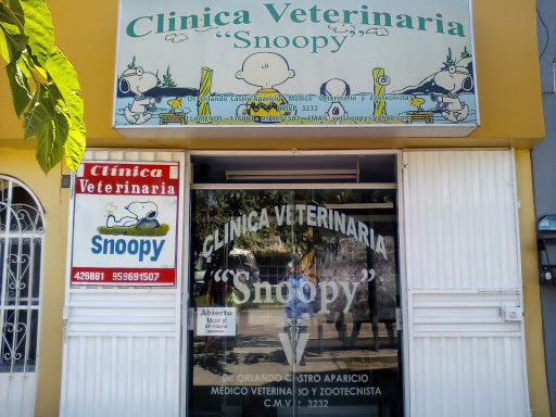 Snoopy Veterinary Clinic