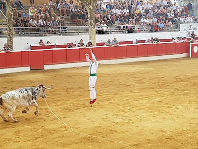 Arène Robert Gastagnon à Nogaro