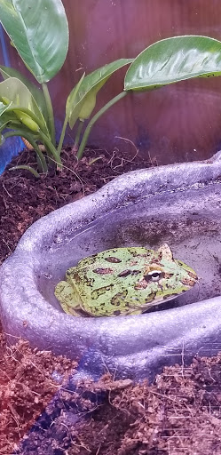 Pet Supply Store «Petco Animal Supplies», reviews and photos, 11633 Ulysses Ln NE #200, Blaine, MN 55434, USA