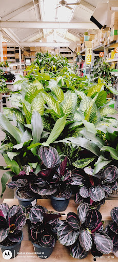 Home Improvement Store «The Home Depot», reviews and photos, 845 W Shaw Ave, Clovis, CA 93612, USA