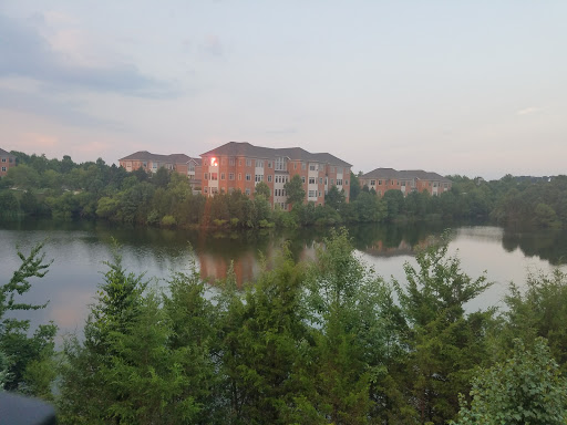 Lounge «MIST Lounge I Restaurant I Hookah», reviews and photos, 46110 Lake Center Plaza, Sterling, VA 20165, USA