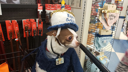 Pet Supply Store «Petco Animal Supplies», reviews and photos, 2277 Ford Pkwy, St Paul, MN 55116, USA