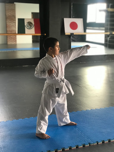 Shinryo Kan Karate Dojo