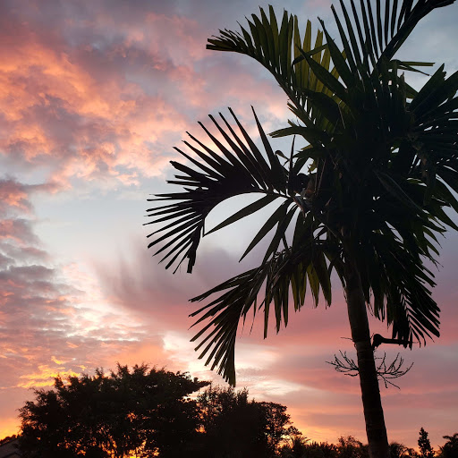 Roofing Contractor «Earl W. Johnston Roofing», reviews and photos, 5721 Dewey St, Hollywood, FL 33023, USA