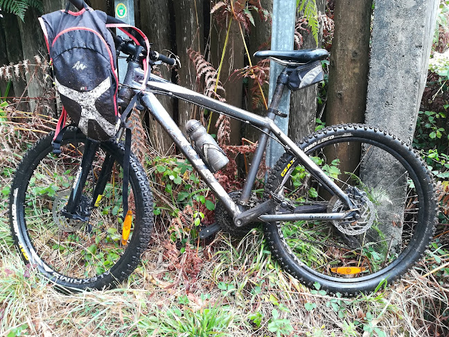 Transzorras Especiais, Unipessoal Lda