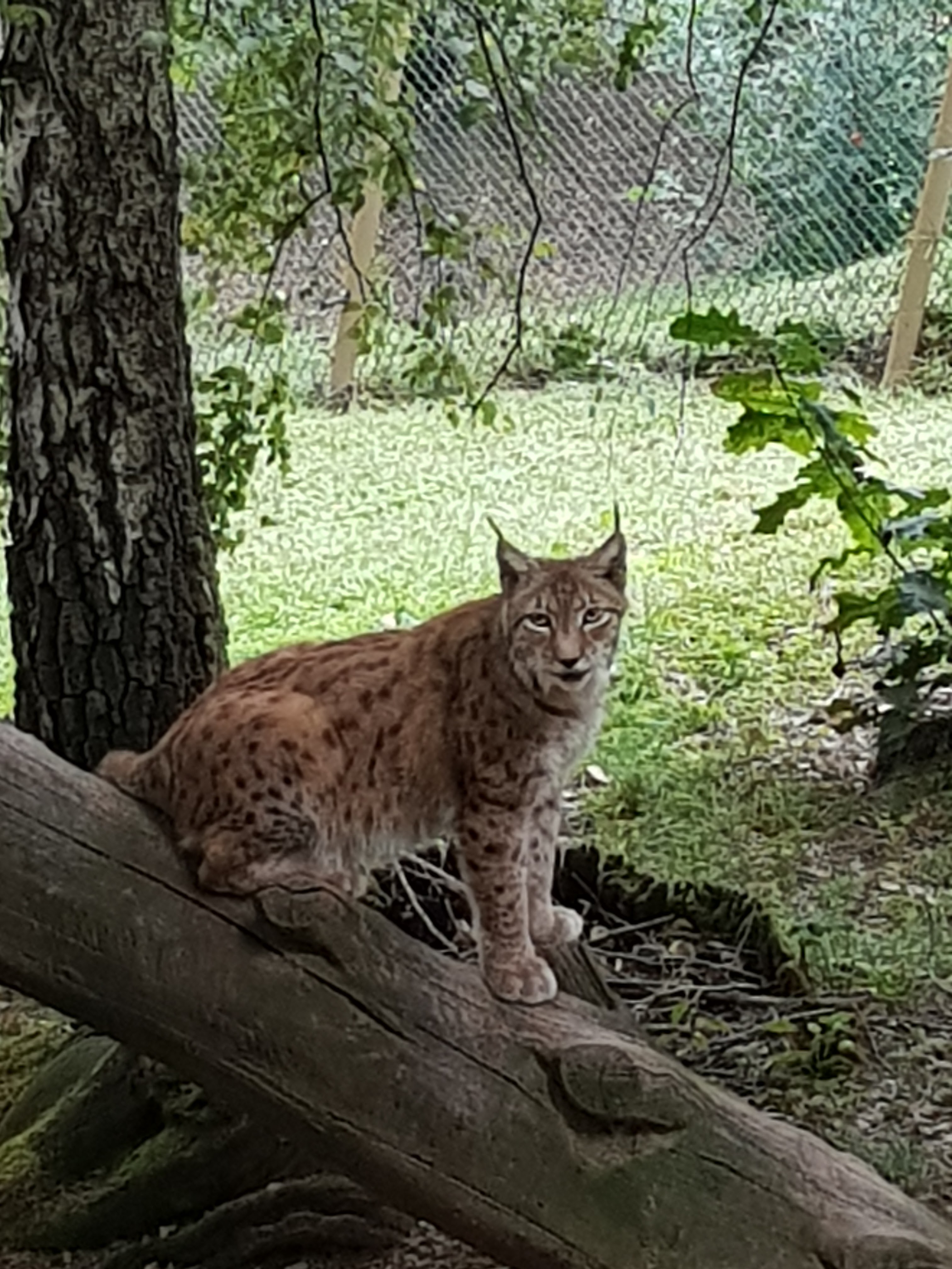 Photo n° 3 de l'avis de King.t fait le 15/09/2021 à 12:05