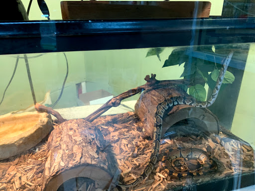 Pet Store «Southside Pet Shop», reviews and photos, 7031 Southside Dr, Louisville, KY 40214, USA