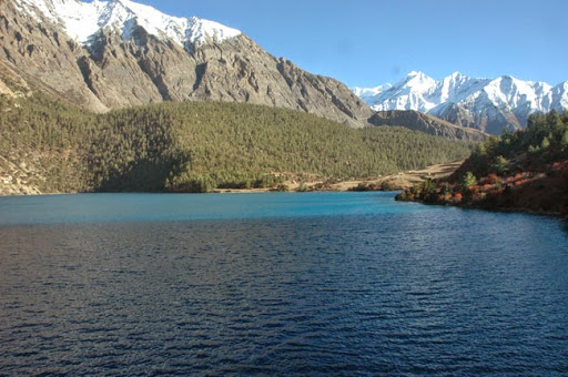 Tour Agency «Himalayan Dreams», reviews and photos, 6185 Rainier Ave, Rocklin, CA 95677, USA