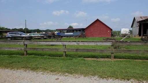 Tourist Attraction «Amish Heritage Farm», reviews and photos, 1016 Brewer Rd, Ethridge, TN 38456, USA