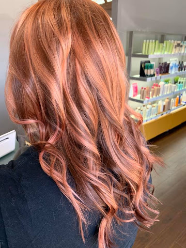 Hair Salon «Salon Zellanova», reviews and photos, 1690 US-1, St Augustine, FL 32084, USA