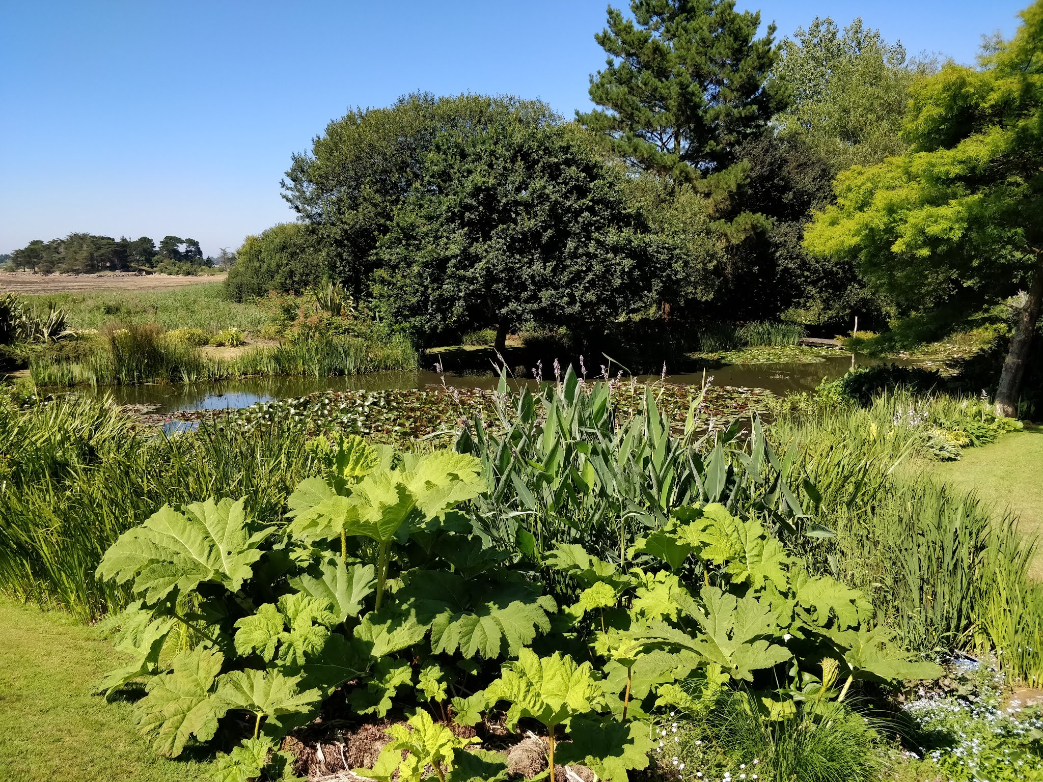 Photo n° 4 de l'avis de Christopher.a fait le 01/08/2018 à 18:58