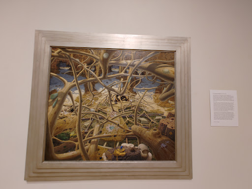 Art Museum «Museum of Art-DeLand», reviews and photos, 600 N Woodland Blvd, DeLand, FL 32720, USA