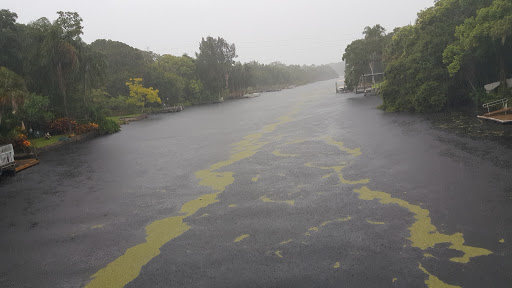 Park «Lowry Park», reviews and photos, 7525 North Blvd, Tampa, FL 33604, USA