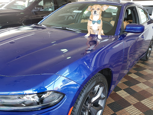 Car Dealer «Hanlees Chrysler Dodge Jeep Ram of Napa», reviews and photos, 333 Soscol Ave, Napa, CA 94559, USA