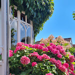 Photo n°4 de l'avis de Sas.i fait le 12/08/2021 à 06:07 sur le  Café Rosengarten à Zingst