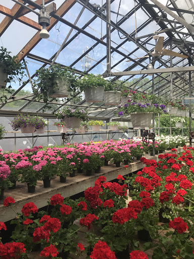 Country Farm Nursery