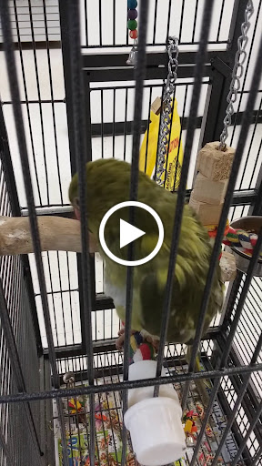 Pet Store «Pet World Warehouse Outlet», reviews and photos, 2148 W Beltline Hwy, Madison, WI 53713, USA