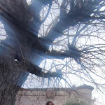 Photo n°3 de l'avis de Isabella.o fait le 15/11/2023 à 14:04 sur le  La Taverna à Avigliano Umbro