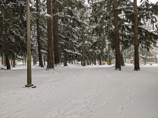 Golf Course «Bellevue Crossroads Par 3 Golf», reviews and photos, 15801 NE 15th St, Bellevue, WA 98008, USA