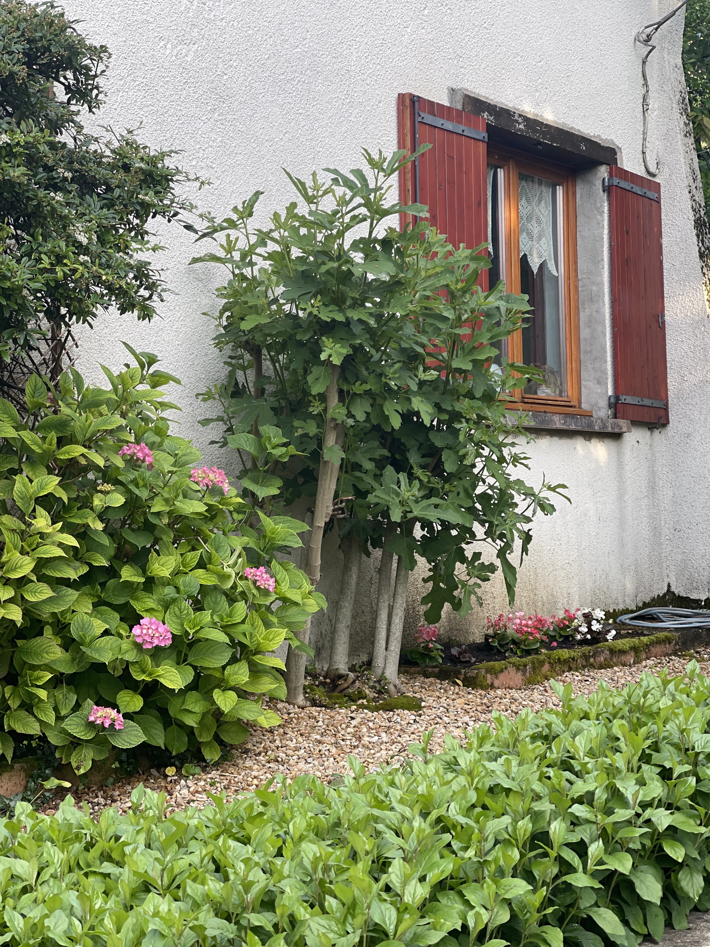 Photo n° 7 de l'avis de Ofer.e fait le 20/06/2023 à 15:27