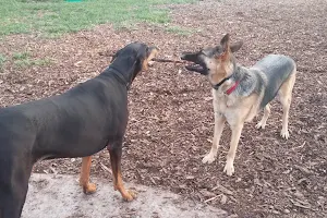 Carol Disher Leash-Free Dog Park image