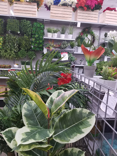 Craft Store «Michaels», reviews and photos, 2886 Wilma Rudolph Blvd, Clarksville, TN 37040, USA