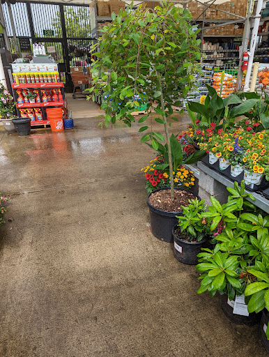 Home Improvement Store «The Home Depot», reviews and photos, 13700 NW Science Park Dr, Portland, OR 97229, USA