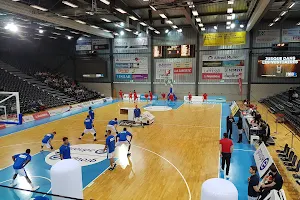 Fribourg Olympic Basket image