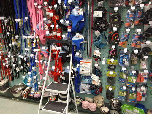 Pet Supply Store «Petland Discounts - Nassau Street», reviews and photos, 132 Nassau St, New York, NY 10038, USA